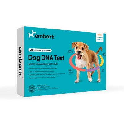embark